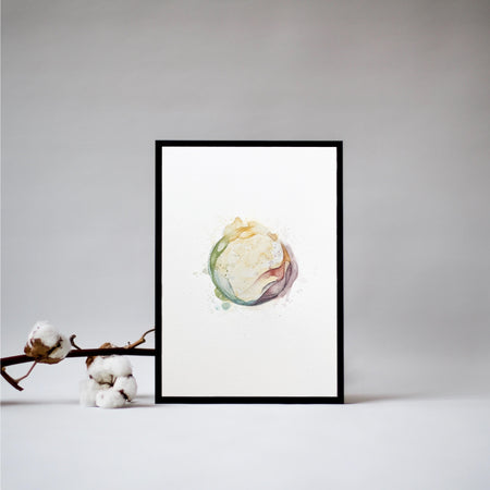 embryo watercolor painting